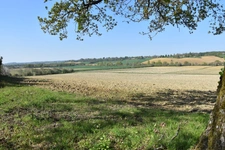 Gers department (32), for sale near Aignan - Land of 4,817 m²