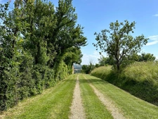 Dpt Gers (32), à vendre proche de LUPIAC- Ensemble de 3 maisons -  P6 de 187 m² - Terrain de 29366  m2 