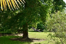 Dpt Gers (32), for sale near EAUZE house P12 of 300 m² - Land of 8805 m² 