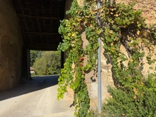 Château à vendre BAS ARMAGNAC (32) - Avec deux gîtes, dépendances, piscine et parc - 19 ha de vignes et terres