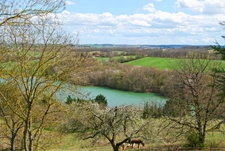 For sale near MARCIAC (32) - 32-room castle - 1540 m2 of living space - 5.8 hectare estate 