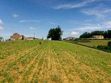 Dpt Gers (32), in BASSOUES, for sale land of 3,000.00 m²