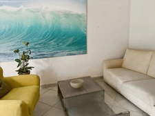 Investment property - 580 m2 - RIGUEPEU - 4 apartments with garden 