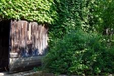 Dpt Gers (32), for sale near EAUZE house P12 of 300 m² - Land of 8805 m² 