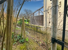 Investment property - 580 m2 - RIGUEPEU - 4 apartments with garden 