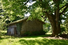 Dpt Gers (32), for sale near EAUZE house P12 of 300 m² - Land of 8805 m² 