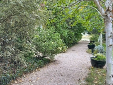 Propriété à vendre 9 pièces MASCARAS (32) - 465 m2 avec dépendances et piscine intérieure - 2,3 hectares de terres, parc et jardin