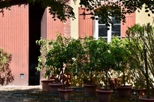Dpt Gers (32), for sale near EAUZE house P12 of 300 m² - Land of 8805 m² 