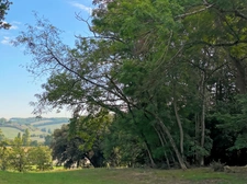Propriété à vendre 9 pièces RIGUEPEU (32) - 315 m2 - 1,9 hectares