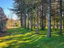 Dpt Gers (32) - for sale near AUCH building of 240 m2 and building land of 3000 m2