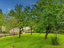 House for sale with 155 m2 of living space in LADEVEZE RIVIERE (32) with 3330 m2 of garden