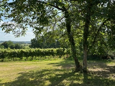 Dpt Gers (32), for sale near NOGARO P8 house of 180 m² - Land of 5498.00 m² - Single storey
