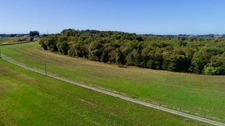À VENDRE – Terres agricoles et parcelles boisées – 49 ha – Bassoues/Gers