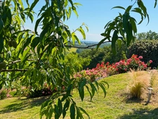 House for sale in Marciac (32) - 175 m2 of living space - 4392 m2 plot - Pyrenees view