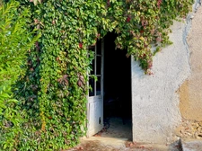 Propriété à vendre 9 pièces RIGUEPEU (32) - 315 m2 - 1,9 hectares