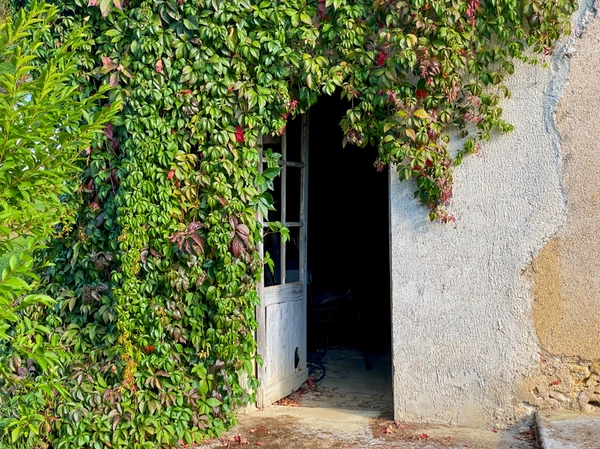 Propriété à vendre 9 pièces RIGUEPEU (32) - 315 m2 - 1,9 hectares