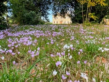 Propriété à vendre 9 pièces RIGUEPEU (32) - 315 m2 - 1,9 hectares