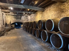 Château à vendre BAS ARMAGNAC (32) - Avec deux gîtes, dépendances, piscine et parc - 19 ha de vignes et terres