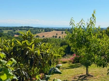 House for sale in Marciac (32) - 175 m2 of living space - 4392 m2 plot - Pyrenees view