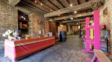 Château à vendre BAS ARMAGNAC (32) - Avec deux gites, dépendances, piscine et parc - 1 ha 67 