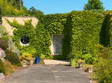 House for sale in Marciac (32) - 175 m2 of living space - 4392 m2 plot - Pyrenees view