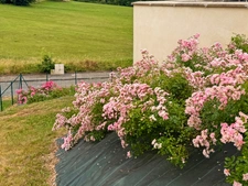 Maison à vendre 4 pièces - AIGNAN (32) - 88 m2 de surface habitable - terrain de 958 m2
