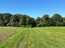 Dpt Gers (32), for sale near LE HOUGA P5 house of 180 m² - Land of 15 Ha 
