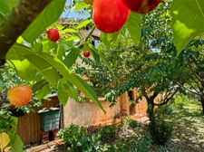 House for sale, 6 rooms, MANCIET (32)