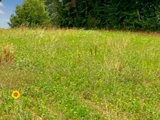 Dpt Gers (32), in BASSOUES, for sale land of 3,000.00 m²