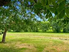 Property for sale - 252 m2 - 44 hectares with lake - BASSOUES (32)
