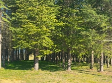 Dpt Gers (32) - for sale near AUCH building of 240 m2 and building land of 3000 m2