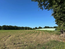 Dpt Gers (32), for sale near LE HOUGA P5 house of 180 m² - Land of 15 Ha 