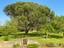 Maison à vendre 8 pièces proche de MARCIAC (32) - 302 m2 - terrain de 7318 m2 - 4 chambres - dépendances et piscine