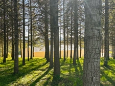 Dpt Gers (32) - for sale near AUCH building of 240 m2 and building land of 3000 m2