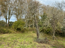 Gers department (32) - in BELMONT, land for sale of 3311 m²