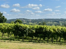 Dpt Gers (32), for sale near NOGARO P8 house of 180 m² - Land of 5498.00 m² - Single storey