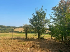 Maison en pierre à vendre 5 pièces MONTESQUIOU (32) - 147 m² habitables avec atelier 150 m2 - Terrain 2870 m2