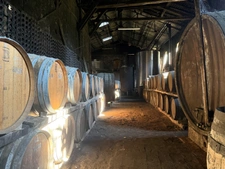 Château à vendre BAS ARMAGNAC (32) - Avec deux gites, dépendances, piscine et parc - 1 ha 67 