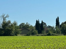 Dpt Gers (32), for sale near LE HOUGA P5 house of 180 m² - Land of 15 Ha 