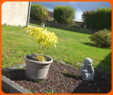 Maison à vendre 7 pièces PLOUENAN (29)