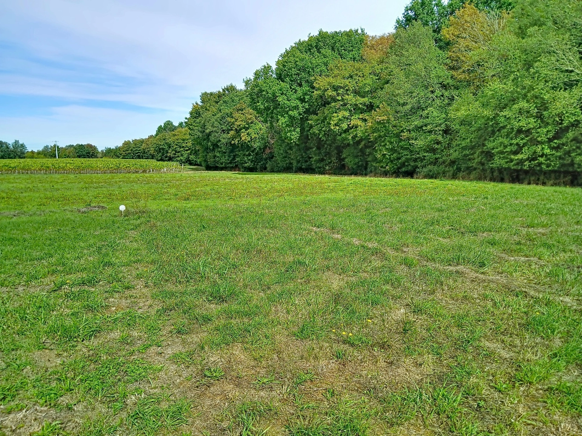 Terrain 1222 m² · à Mazerolles · 1 222 m² · 39 000 €