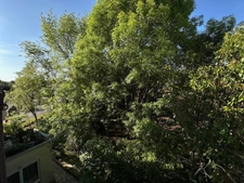 Appartement  T2 vendu  loué  immeuble Haussmanien ANGOULEME (16)