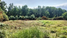 Terrain artisanal à vendre de 2 425,00 m² SAINT PERE (89)