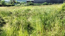 Terrain artisanal à vendre de 2 425,00 m² SAINT PERE (89)