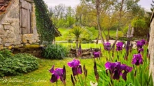 Élégance, rentabilité et art de vivre – Domaine touristique avec potentiel équestre aux portes de Padirac