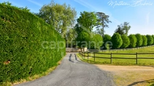 Domaine de caractère du XVIIᵉ siècle rénové - Propriété de charme avec piscine et parc arboré - Entre Périgueux et Bergerac