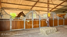 A Character Equestrian Estate with working Gîte and wellness studio close to Eymet