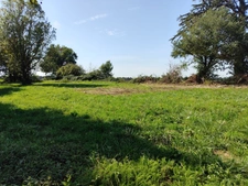 Terrain à bâtir - 1227 m2 - TESSON (17460)