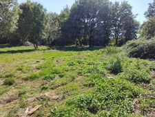 Terrain à bâtir 1 123 m² – Tesson (17460) – environnement résidentiel paisible