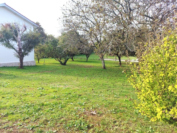 Maison T4 de 96 m² avec garage et grand terrain – Saint-Germain-de-Lusignan
